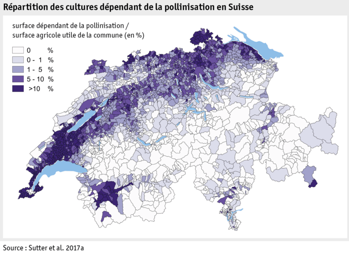 Zoom: ab17_datentabelle_umwelt_verteilung_bestaeubungsabhaeniger_kulturen_ch_f.png