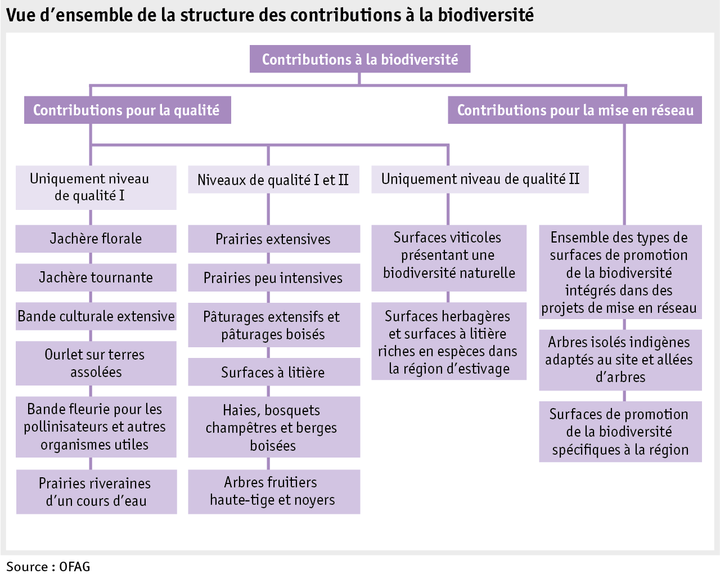 Zoom: ab17_grafik_biodiversitaetsbeitraege_systematik_f.png